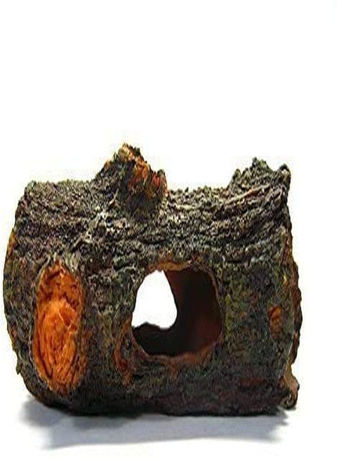 CORISRX Betta Log Decaying Trunk 4.3 inches Driftwood Decor - Small Wooden Fish Tank Freshwater Decorations Aquarium Ornament Tree Plants Wood - Image 3